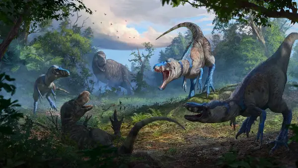 Nanotyrannus Confirmed as Separate, Smaller Tyrannosaur in Dueling Dinosaurs Fossil