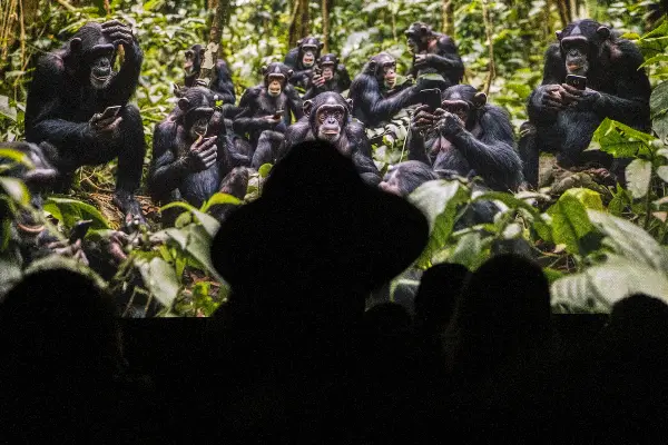 Sora AI Video App Sparks Trust Crisis as Deepfake Backlash Grows