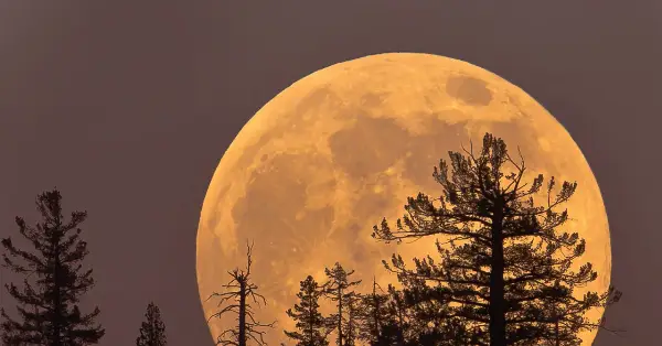 Cold Supermoon to Appear on December 4 as Year's Last Full Moon