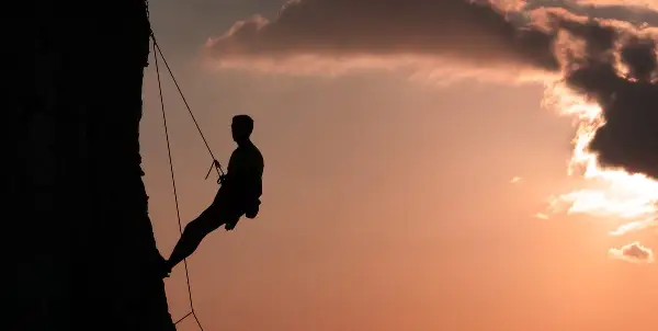 Ancient Sea Turtle Fossil Tracks Discovered in Italian Limestone