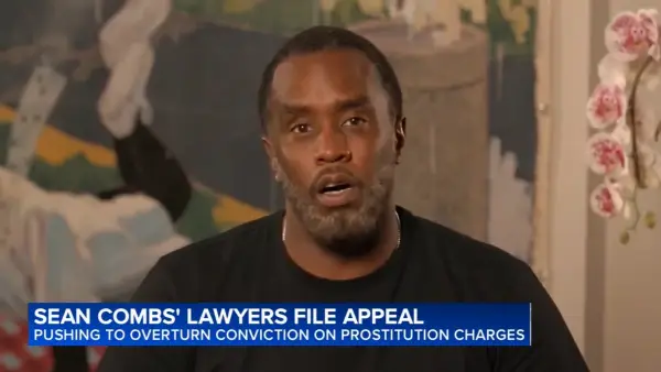 Sean 'Diddy' Combs Seeks Immediate Release from Prison, Appeals Conviction